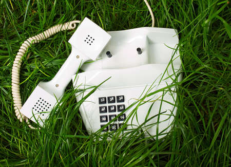 telephone in unusual placeの写真素材