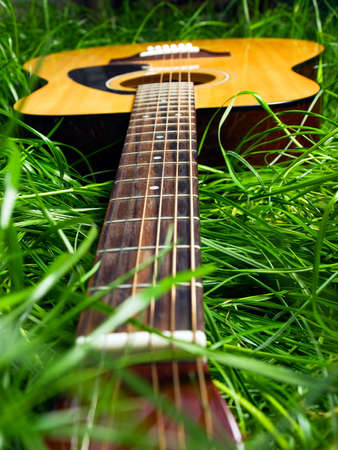 Guitar in Grassの写真素材