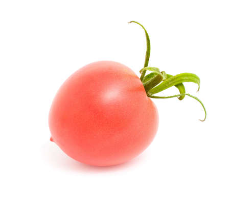 Ripe tomatoの写真素材