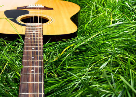 Guitar in Grassの写真素材
