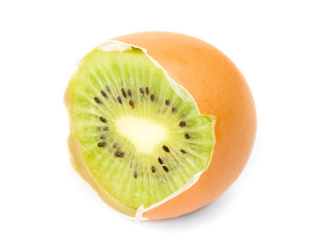 Kiwi eggの写真素材