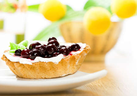 Black Currant tartの写真素材