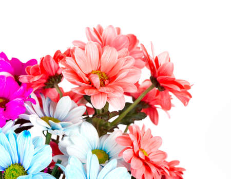 Beautiful spring flowers の写真素材