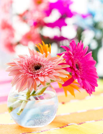 Gerberas flower の写真素材