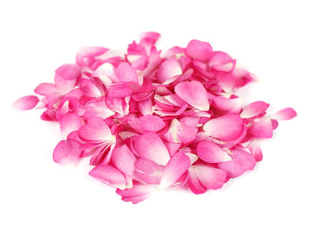 Pink rose petals on white の写真素材