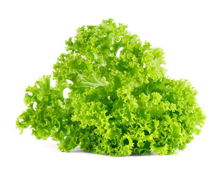 Fresh green lettuce  salad isolated on white background の写真素材