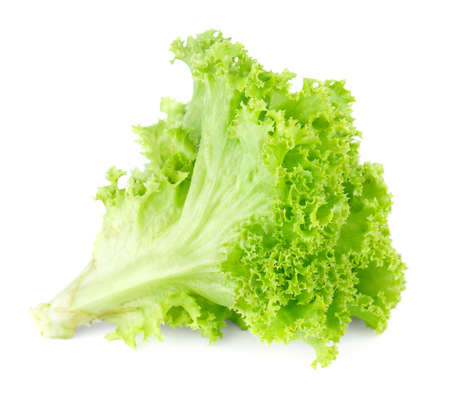 Fresh green lettuce  salad isolated on white background の写真素材