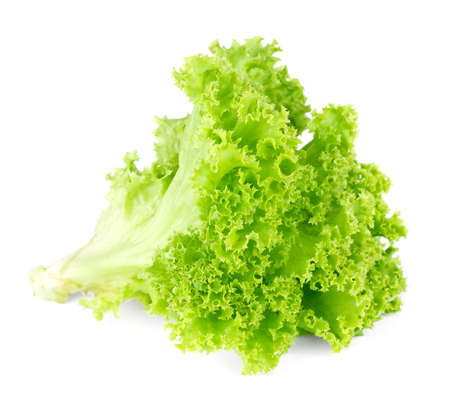 Fresh green lettuce  salad isolated on white background の写真素材