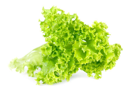 Fresh green lettuce salad isolated on white background の写真素材
