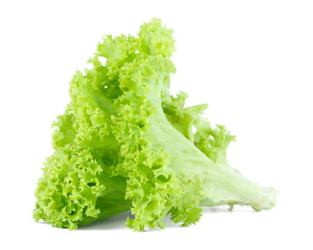Fresh green lettuce salad isolated on white background の写真素材