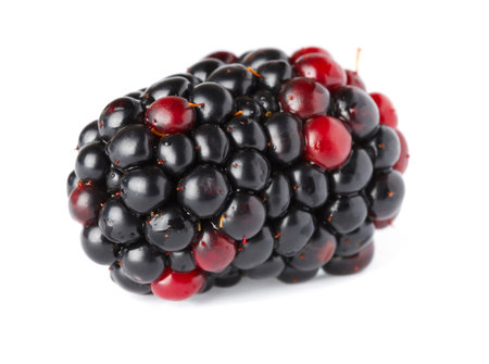ripe blackberry の写真素材