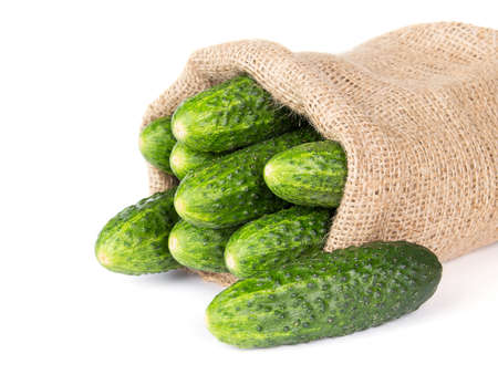 Raw cucumber in burlap bag isolated on whiteの写真素材
