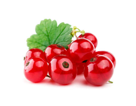 Red currants with leaf isolated on whiteの写真素材
