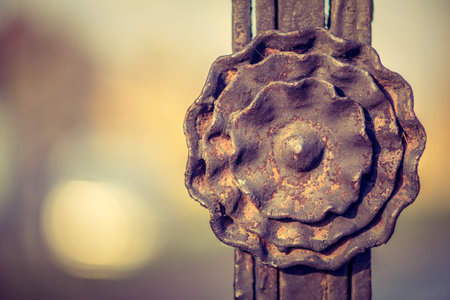 Iron fence detail, leaves and swirls
