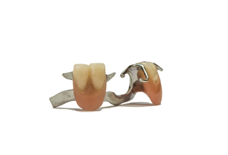 Dental phantom, dentures isolated on white background, clasp, clampの写真素材