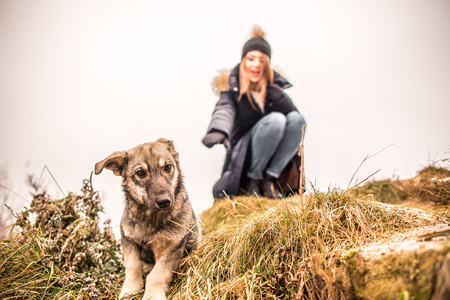 Little dog with girl on background outdoorの写真素材