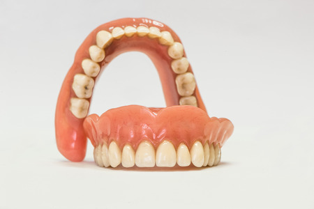 Dental phantom, dentures isolated on white backgroundの写真素材