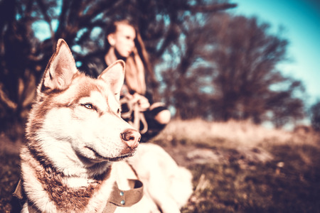 Girl in the forest with her husky dogの写真素材
