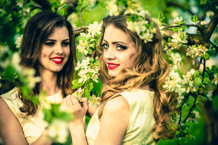 Two pretty girls in the garden under the blossom apple treeの写真素材