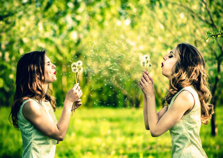 Two pretty girls blowing blowball flowers in the gardenの写真素材