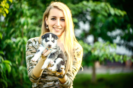 Little prety husky puppy outdoor in womans handsの写真素材