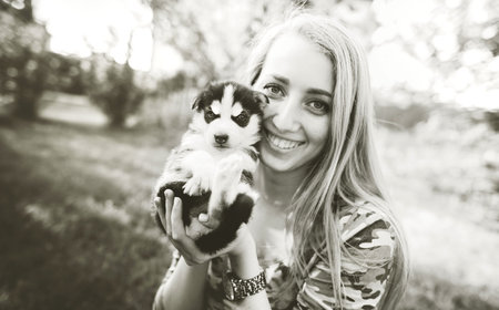 Little prety husky puppy outdoor in womans hands