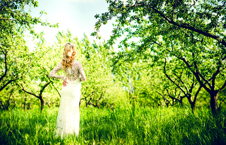 Portrait of a beautiful bride outdoor in the park, back viewの写真素材