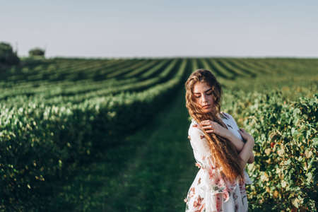 Portrait of a beautiful young woman with curly hair and freckles face. Woman in dress and hat posing in wheat field at sunset and looking at camera.の写真素材