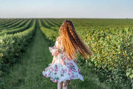 Portrait of a beautiful young woman with curly hair and freckles face. Woman in dress and hat posing in wheat field at sunset and looking at camera.の写真素材