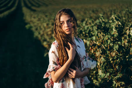 Full length portrait of beautiful woman with long curly hair on currant field background. Girl in a light dress sits on the grass in sunny day.の写真素材