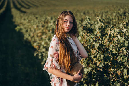 Full length portrait of beautiful woman with long curly hair on currant field background. Girl in a light dress sits on the grass in sunny day.の写真素材