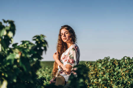 Full length portrait of beautiful woman with long curly hair on currant field background. Girl in a light dress sits on the grass in sunny day.の写真素材