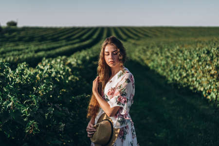 Full length portrait of beautiful woman with long curly hair on currant field background. Girl in a light dress sits on the grass in sunny day.の写真素材