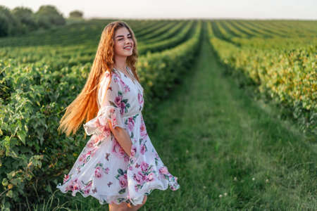 Full length portrait of beautiful woman with long curly hair on currant field background. Girl in a light dress sits on the grass in sunny day.の写真素材