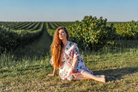 Full length portrait of beautiful woman with long curly hair on currant field background. Girl in a light dress sits on the grass in sunny day.の写真素材