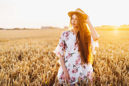 Full length portrait of beautiful woman with long curly hair on currant field background. Girl in a light dress sits on the grass in sunny day.の写真素材