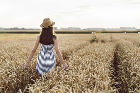 Pretty brunette girl in light dress wearing hat and walking outdoor in wheat field at sunset timeの写真素材