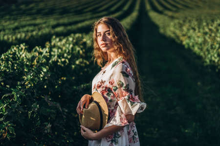 beautiful woman with long curly hair and freckles face on currant field background. Girl in a light dress walks in the summer sunny day.の写真素材