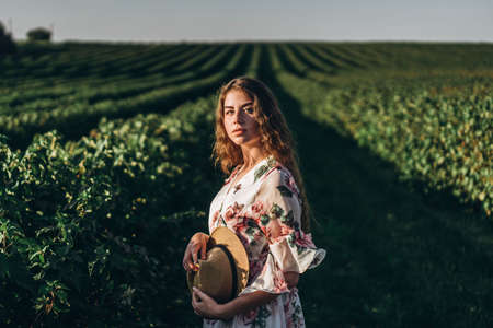 beautiful woman with long curly hair and freckles face on currant field background. Girl in a light dress walks in the summer sunny day.の写真素材