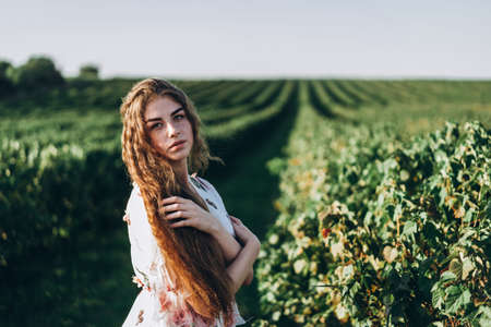 beautiful woman with long curly hair and freckles face on currant field background. Girl in a light dress walks in the summer sunny day.の写真素材