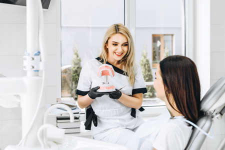 Pretty female dentist explaining way of treatment on the denture for the patient in the clinicの写真素材