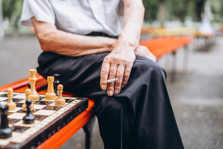 Two senior adult men playing chess on the bench outdoors in the park