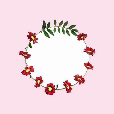 Creative layout composition of flowers on pastel backgroundの写真素材