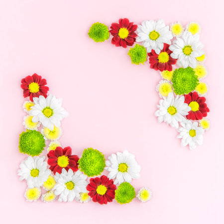 Creative layout composition of flowers on pastel backgroundの写真素材