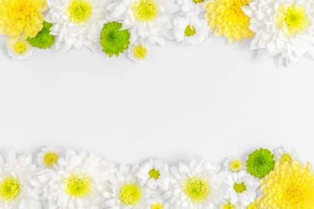 Creative layout composition of flowers on pastel backgroundの写真素材