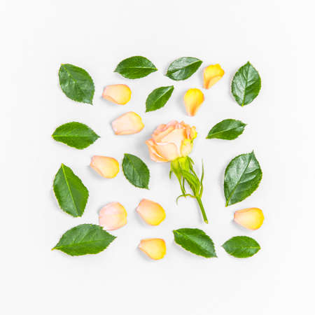 Creative layout composition of flowers on pastel backgroundの写真素材