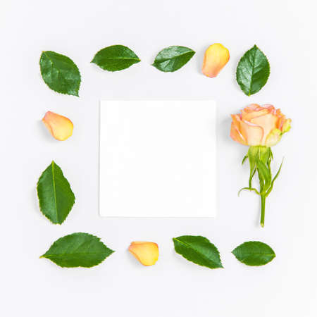 Creative layout composition of flowers on pastel backgroundの写真素材