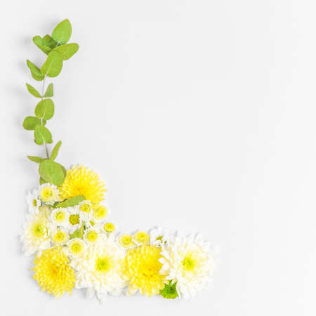 Creative layout composition of flowers on pastel backgroundの写真素材