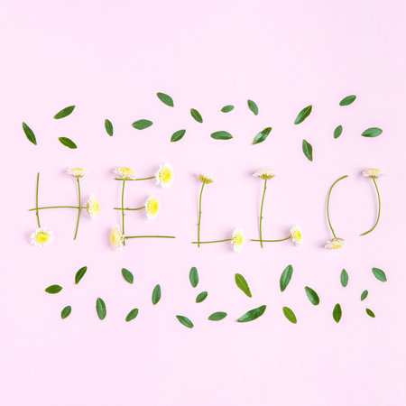 Creative layout composition of flowers on pastel background