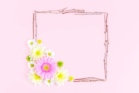 Creative layout composition of flowers on pastel backgroundの写真素材